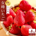 【ふるさと納税】小豆島女峰いちご DXパック 約250g×4パック (1kg)