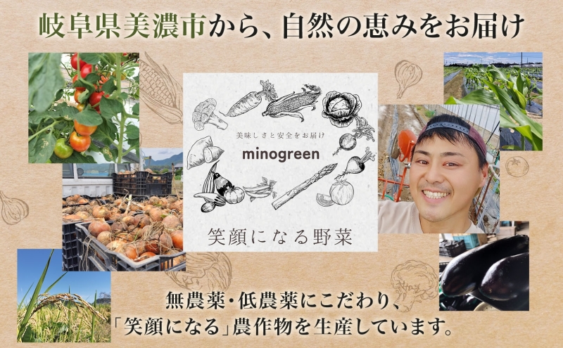 とうもろこし ドルチェドリーム 300g以上×6本 約1.8kg コーン もろこし バイカラー 白 黄 低農薬 高糖度 18度 甘い ジューシー 野菜 おやつ 旬 産地直送 送料無料 美濃グリーン 岐