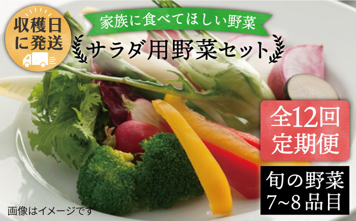 
            【 全12回 定期便 】 【 福岡県 糸島産 】 朝採れ サラダ用 野菜 セット 《糸島》【オーガニックナガミツファーム】 [AGE011]
          