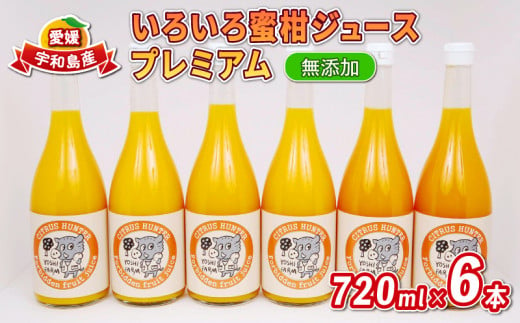 100%ジュース いろいろ 蜜柑 ジュース プレミアム 720ml ×6本 ヨシファーム フルーツジュース ストレートジュース ストレート みかんジュース 蜜柑 mikan 100％ジュース 果汁 100％ 飲料 柑橘 果物 フルーツ 農家直送 産地直送 数量限定 国産 愛媛 宇和島 H018-067005