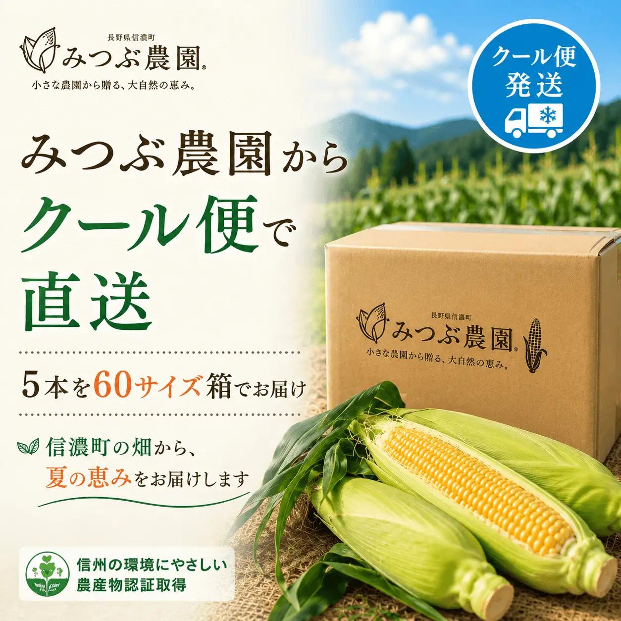 朝採れ極甘とうもろこし5本セット みつぶ農園【長野県信濃町・数量限定】