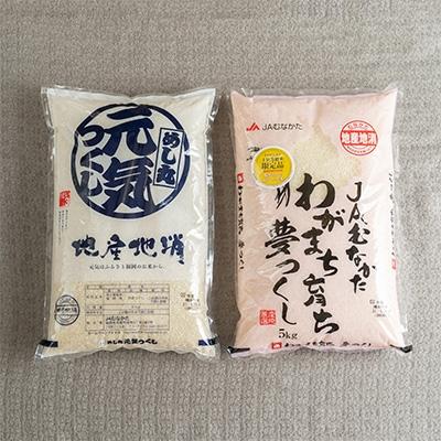 ふるさと納税 太宰府市 【太宰府】果物屋さんが選んだ米食べ比べ「夢つくし&amp;元気つくし」5kg×2袋