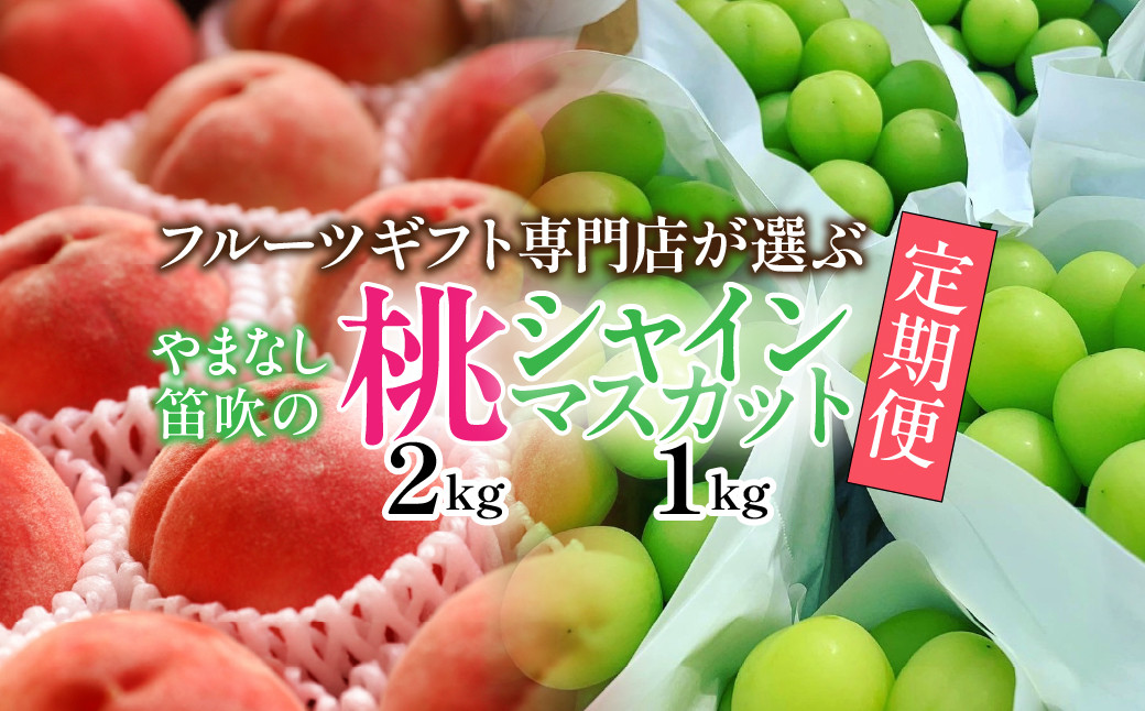 
            ＜25年発送先行予約＞山梨県笛吹市産　フルーツ専門店が選ぶ厳選フルーツ2種定期便　桃・シャインマスカット 105-022
          