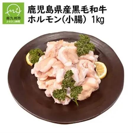 鹿児島県産黒毛和牛ホルモン(小腸)1kg【配送不可地域：離島】【1185883】