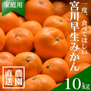 【先行受付】和歌山産　家庭用　宮川早生みかん　約10kg 2S～2Lサイズ【訳ありみかん】【配送不可地域：離島・北海道・沖縄県】【1482416】