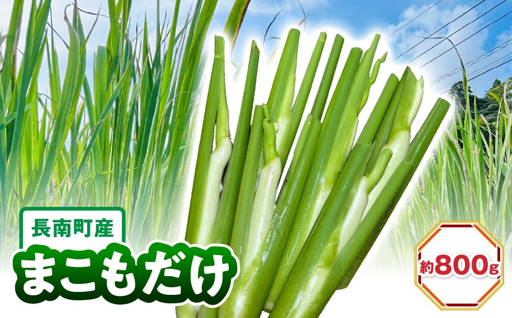 
                  長南町産まこもだけ　約800g CNZ005
                