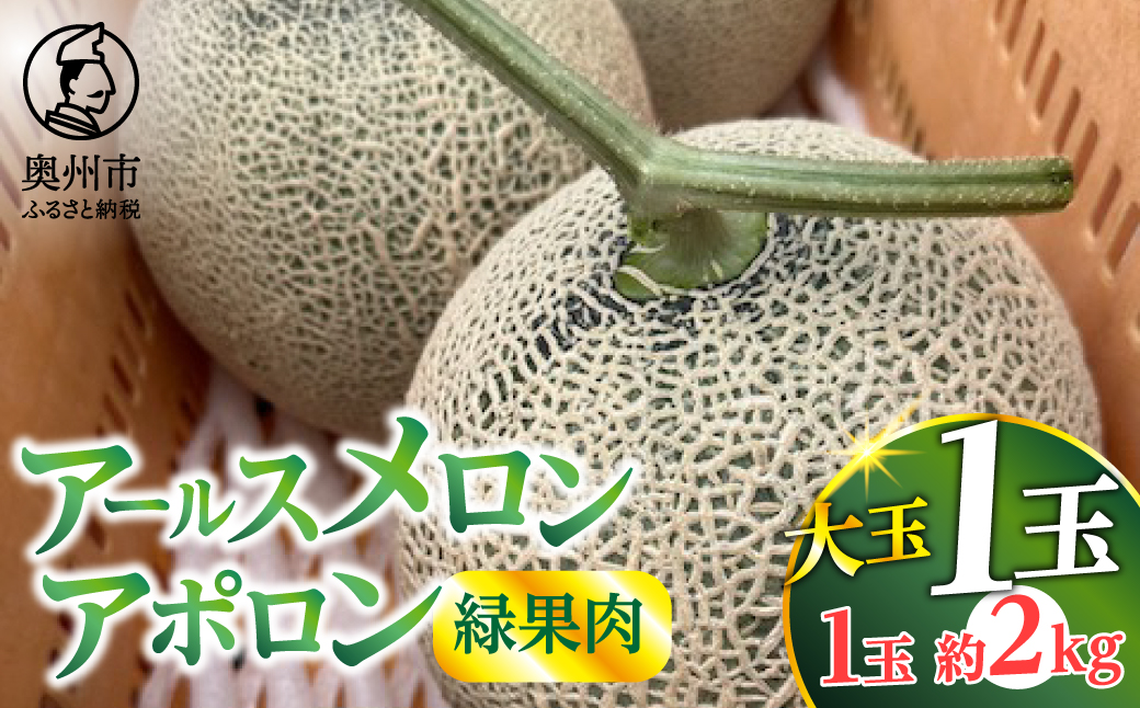 アールスメロン アポロン(緑果肉) 大玉1個 【数量限定】 [CL003]
