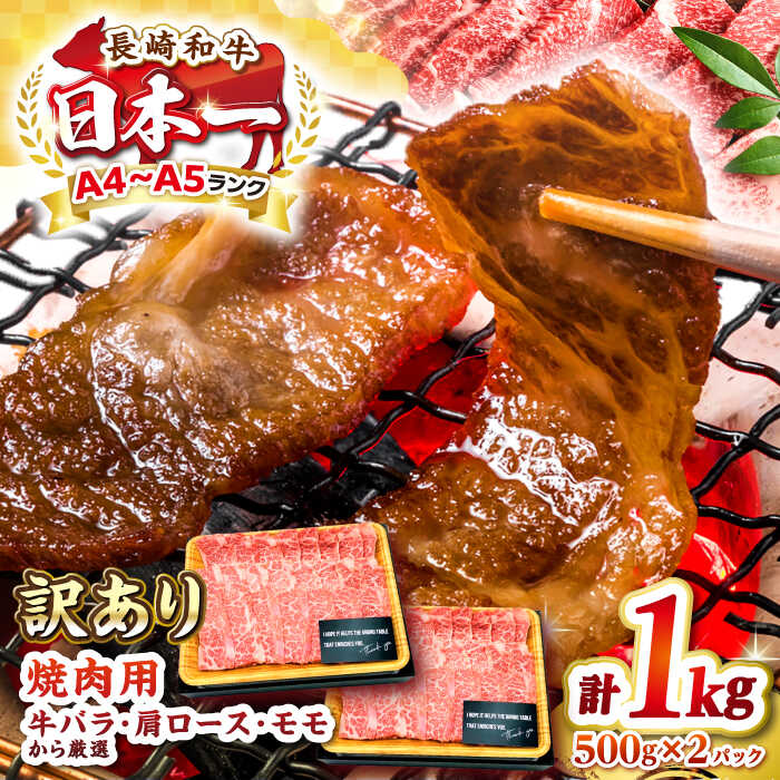 【ふるさと納税】【訳あり】【A4〜A5ランク】長崎和牛 焼肉切り落とし 1kg（500g×2パック）(肩ロース・バラ）《壱岐市》【株式会社MEAT PLUS】 肉 牛肉 黒毛和牛 焼き肉 焼肉 焼肉用 ギフト 贈答用 ご褒美 冷凍配送 A4 A5 [JGH022]