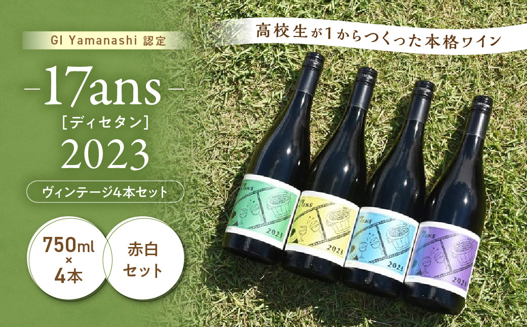 
農林高校ワイン　17ans[ディセタン]2023　ヴィンテージ4本セット　高校生ワイン　赤ワイン　白ワイン　チャレンジ　企画　飲み比べ　農林ワイン　高校生　甲斐市（AD-293）
