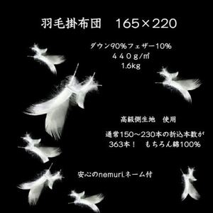 羽毛掛布団165cm×220cm 創業70年超の京都の老舗メーカー 職人手作り国産ふとん 極上の眠り【1632110】