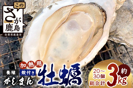 【期間限定】【牡蠣】【有明海】かしまん牡蠣(養殖）殻付き　3kg　かき　佐賀県　鹿島市　有明海　C-114