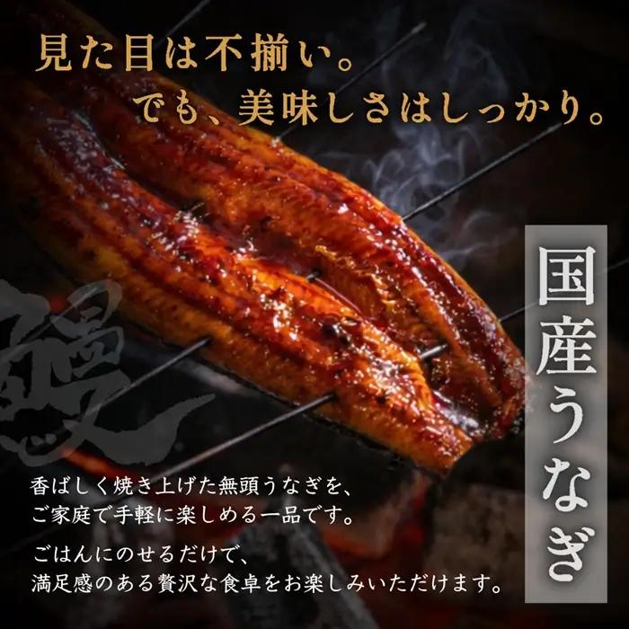 AG175.【不揃い訳あり】うなぎの蒲焼き3尾セット