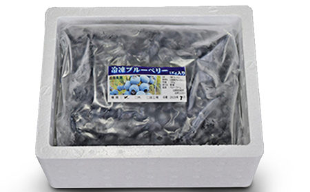 タカトーファーム　冷凍ブルーベリー　サイズL　1kg