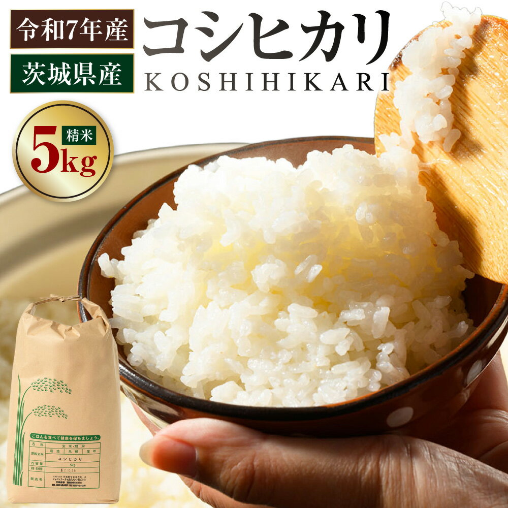 【ふるさと納税】【令和7年産】茨城県産コシヒカリ 5kg 米 お米 おこめ コメ 白米 精米 ご飯 ごはん コシヒカリ こしひかり 茨城県 守谷市 送料無料