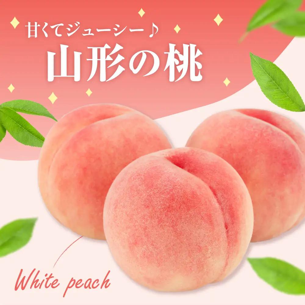 先行予約 数量限定 令和8年産 もも 約2kg 品種 おまかせ 桃