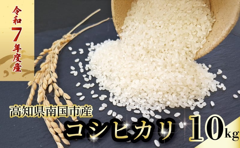 
            令和7年度 南国市産 コシヒカリ 白米 10㎏ | 数量限定 米 コメ お米 ご飯 おにぎり こめ 弁当 高知県 南国市
          
