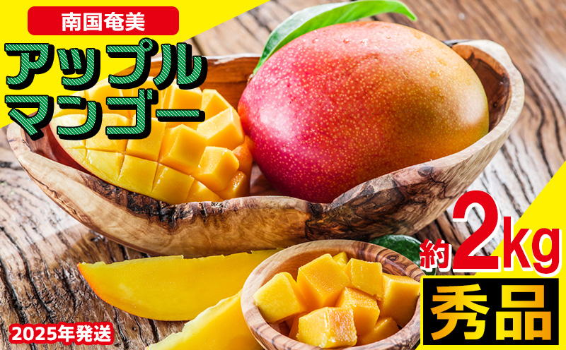 南国奄美の秀品アップルマンゴー 約2kg【2025年発送】 鹿児島県 奄美群島 奄美大島 龍郷町 国産 奄美産 青果 果物 くだもの フルーツ 南国 トロピカル デザート スイーツ 濃厚 とろける 甘い アップルマンゴー 秀品 2kg