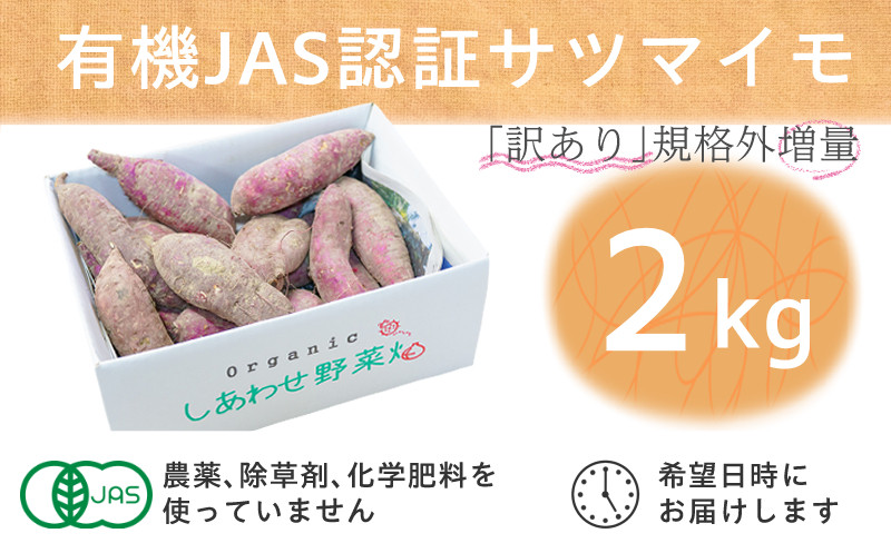 
            ＜フードロス対応・規格外＞有機サツマイモ　訳あり　有機JAS　期間限定(12～3月発送)【1568590】
          