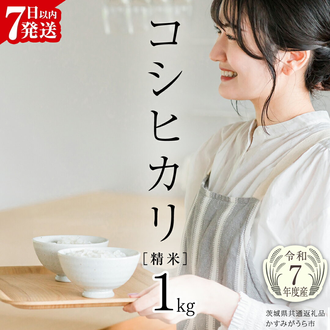 【ふるさと納税】【 令和7年産 】 コシヒカリ 精米 1kg (茨城県共通返礼品 かすみがうら市) スピード発送 早い 新米 米 ごはん もっちり 甘い コメ お米 白米 銘柄米 5000