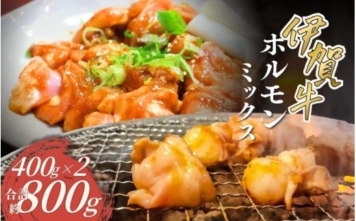 伊賀牛 ホルモンミックス約800g（約400g×2パック）/ 伊賀牛 ホルモン ホルモンミックス 約800g 400g 2パック 牛肉 和牛 国産牛 ブランド牛 伊賀牛肉 牛ホルモン ミックスホルモン 焼肉 焼き肉 やきにく BBQ バーベキュー もつ モツ 内臓肉 肉 お肉 肉料理 国産 お取り寄せ グルメ 冷凍 食品 自宅用 伊賀 三重県産 伊賀牛 ホルモン 焼肉 牛肉 【cook0033】