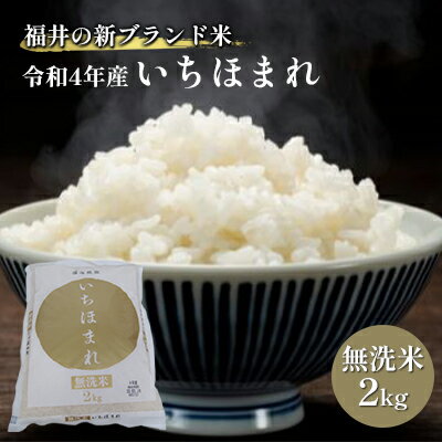 【ふるさと納税】無洗米　いちほまれ2kg（令和6年産）福井の新ブランド米 お米 白米 精米 名作 粒感 粘り 絶妙 優しい 甘さ