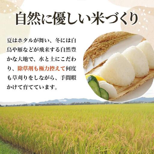 【8年5月配送】令和7年産 新潟上越産コシヒカリ 5kg｜コシヒカリ 米 こしひかり こめ おすすめ 新潟 新潟県産 にいがた 上越 上越産