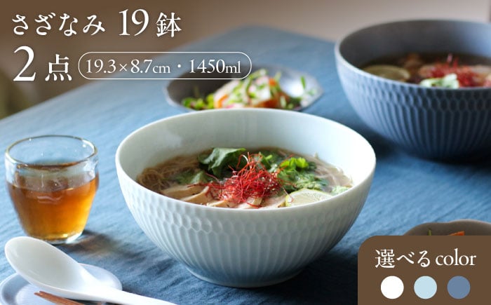 
            【選べる3色タイプ】【美濃焼】 さざなみ 19鉢 2枚セット 瑞浪市 / JS企画 皿 お皿 プレート 食器 [AZAZ074]
          