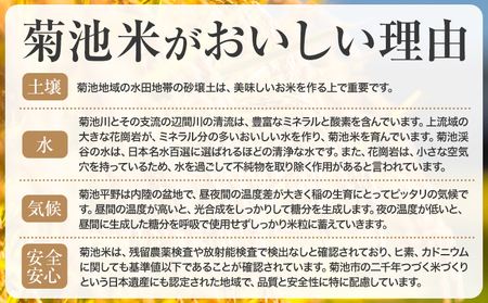 【6ヶ月定期便】熊本県産 菊池米 玄米 10kg 1袋5kg 米 お米 令和7年産 九州産 熊本県産 送料無料《お申込み翌月に出荷予定》玄米 米
