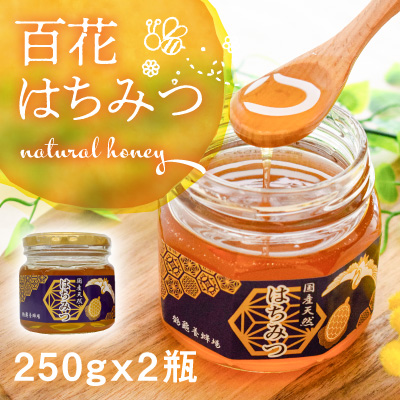 H-73　【国産無添加】たつのの自然が育んだ天然「百花はちみつ」250g×2瓶