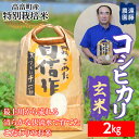 【ふるさと納税】 【遠藤農園】令和6年度 山形県高畠町産 特別栽培米 コシヒカリ 玄米 2kg (1袋) 米 お米 おこめ ごはん ブランド米 産地直送 農家直送 F21B-165