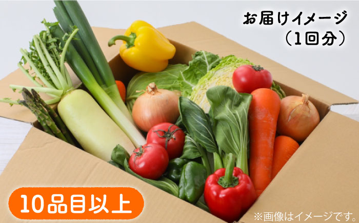 【6回定期便】地元の農家さんが収穫した旬のお野菜 詰め合わせセット 地元の農家さんが収穫した旬のお野菜 詰め合わせセット 野菜定期便 野菜詰め合わせ  / 南島原市 /  ミナサポ [SCW046]