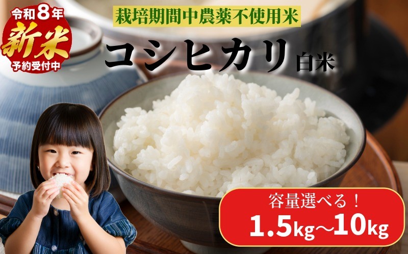 
                  【2026年9月順次発送】　栽培期間中農薬不使用 コシヒカリ 白米 1.5kg～10㎏  米 化学肥料不使用 こめ 健康 ご飯 おにぎり 精米 小松島市
                