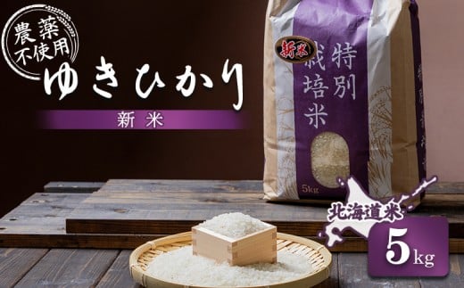
            【2025年産】 北海道産 ゆきひかり 5kg （無化学肥料・農薬不使用）| お米 米 白米 精米 ふるさと納税 北海道 オンライン申請 美味しいお米 安心 安全 北海道米 ゆきひかり ご飯 北海道 羽幌町 羽幌 ふるさと納税【25108】
          