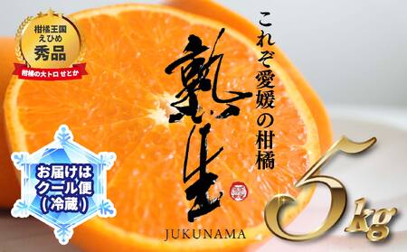 【サンマルシェ】 冷蔵配送 要冷蔵保管 せとか 秀品 Lサイズ 5kg 愛媛 2024年 4月発送 柑橘 くだもの 【OS018】