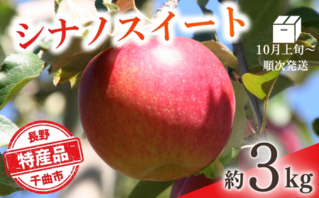 【2026年先行予約】りんご シナノスイート(長野県オリジナル品種) 約3kg |りんご