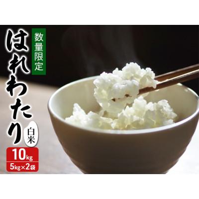 ふるさと納税 鰺ヶ沢町 令和7年産 はれわたり 白米 10kg (5kg×2袋) [53841708]