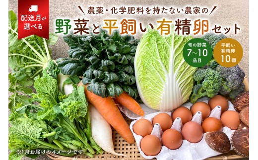 
                  【配送月が選べる】農薬・化学肥料を持たない農家の野菜（7～10種類）と 平飼有精卵のセット mi0036-0017 【野菜 卵 露地栽培 国産 旬野菜 季節野菜 キャベツ きゅうり トマト 果物 蒟蒻 味噌】
                