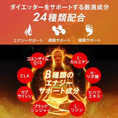 ふるさと納税 瑞穂町 ハルクファクター カルニチン 90粒 タブレット コエンザイムQ10 サプリメント |  | 02