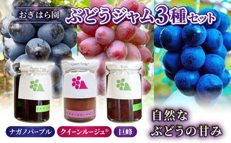 【おぎはら園】ぶどう園のぶどうジャム3種セット（巨峰、クイーンルージュ(R)、ナガノパープル）各140g