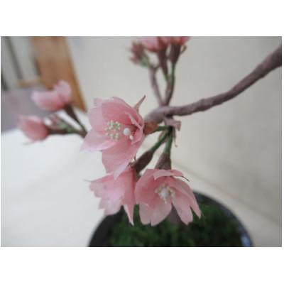 ふるさと納税 東秩父村 細川紙フラワー「桜(小)」 |  | 02
