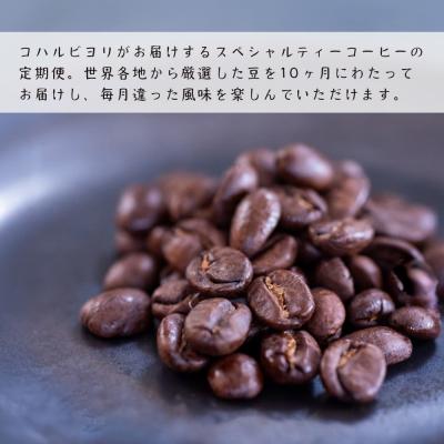 ふるさと納税 淡路市 【定期便10ヶ月】スペシャルティーコーヒー定期便(豆200g×2種×10回)計4kg　ap06021 |  | 03