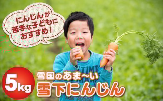 【2026年1月発送予定】雪国のあまーい雪下にんじん 約5kg 人参嫌いの息子のために開発！ 野菜 人参 甘い野菜 東北の野菜 特別野菜 食育 岩手県北上市 C0074