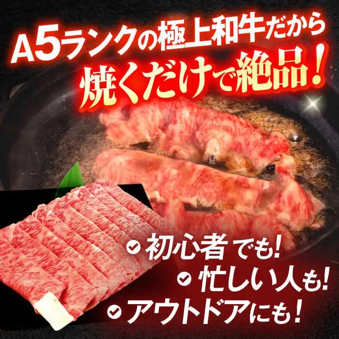長崎和牛A5ランク極上サーロインスライス（400ｇ）[OCH017]