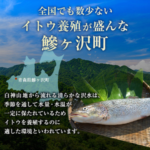 幻の魚 イトウ うす造り 170g 真空冷凍パック 冷凍 お造り 川魚 魚介 魚介類 海鮮 刺し身 お刺身 刺身 おかず おつまみ つまみ お酒のつまみ 酒のつまみ 幻 魚 青森 青森県 鰺ヶ沢町