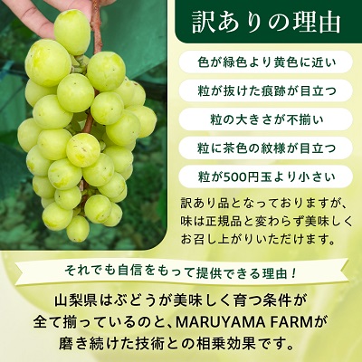 【訳あり】シャインマスカット 3～4房 1.5kg以上【配送不可地域：離島】