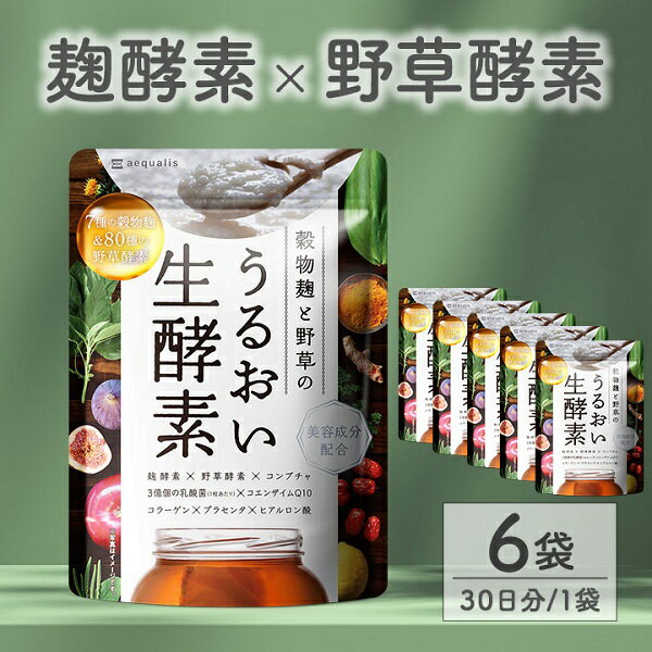 【ふるさと納税】酵素サプリメント 穀物麹と野草のうるおい生酵素 6袋 (6ヶ月)　送料無料 静岡県 富士宮市