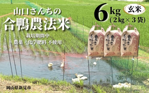【令和7年産】山口さんちの合鴨農法米 玄米6kg (2kg×3袋)