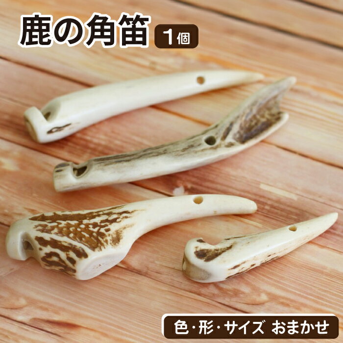 【ふるさと納税】雑貨 おすすめ 角笛 1個 / 角 鹿 しか シカ 鹿の角を使用した角笛 本物 加工 ふえ フエ 笛 鹿角 天然 二ホンジカ 野生 再利用 ホイッスル 遊び 道具 珍しい つのぶえ 日用品 加工品 防災用品 おもちゃ 遊び道具 アウトドア 音 鳴る 岩手県 滝沢市 送料無料