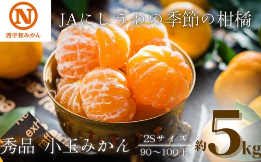 
            JAにしうわの季節の柑橘(八幡浜共選「秀品2S小玉みかん」約5kg)＜C08-73＞_ みかん ミカン 柑橘 フルーツ くだもの 果物 ふるーつ 青果 果実 甘い ジューシー 産直 産地直送 旬 柑橘類 人気 【1443230】
          