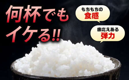 令和7年産 法成米5kg [BAAL001] 米